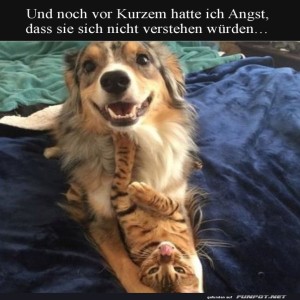 Wenn-Hund-und-Katze-beste-Freunde-werden.jpg von Erwin32