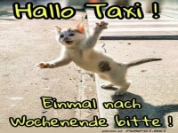 Fahrt ins Wochenende
