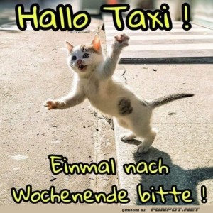 Fahrt-ins-Wochenende.jpg von Elijas1995