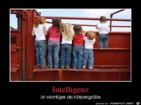 intelligenz