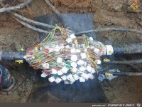 Viel Spass beim suchen