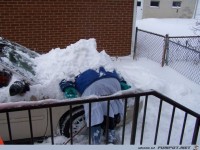 This-is-one-of-those-hilarious-photos-that-lets-the-mind-wan