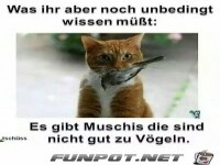 Was ihr aber noch unbedingt wissen m��t: