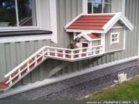 Coole H�tte