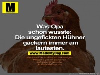 Was Opa schon wusste