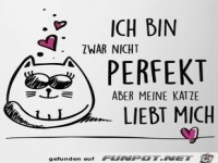 meine Katze liebt mich