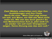 Zwei M�dels unterhalten sich �ber ihre Ausbildungen und...