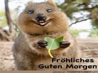 Guten Morgen