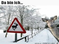 Da bin ich .....