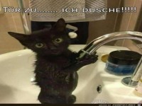 Tuer zu