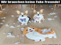 Keine Fake Freunde erw�nscht