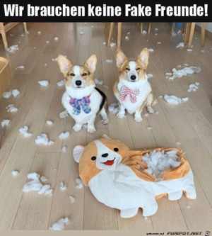 Keine-Fake-Freunde-erw�nscht.jpg auf www.funpot.net