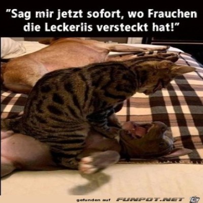 Sag-es-sofort.jpg von Hannah