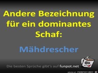 Der M�hdrescher