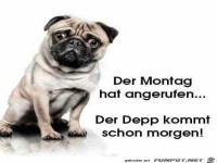 Der Montag
