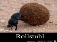 Rollstuhl