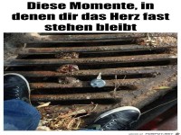 Diese Momente