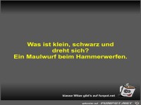 Was ist klein, schwarz und dreht sich?