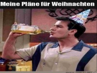 Meine Plne fr Weihnachten