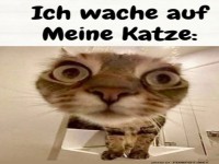 Wenn ich aufwache