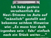 Lustiger Vorfall mit m�nnlicher Navi-Stimme