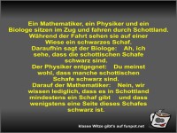 Ein Mathematiker, ein Physiker und ein Biologe sitzen im...