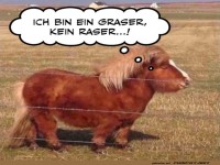 Langsamkeit als Lebenskunst!