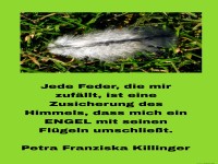 jede feder, die mir zufällt