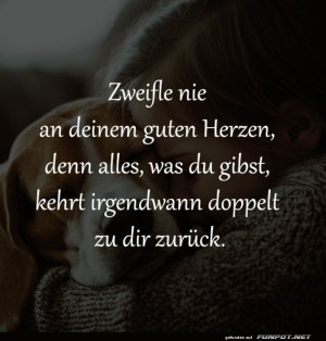 Herz-&-Hund:-Doppelte-Rückgabe-garantiert!.jpg auf www.funpot.net