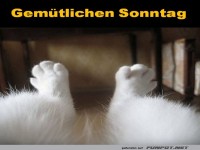 Sonntag