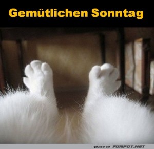 fun-Bild: Sonntag