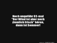 Sommerwetter: Frisurentest bestanden!