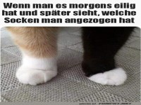 Morgen-Verwirrung pur!