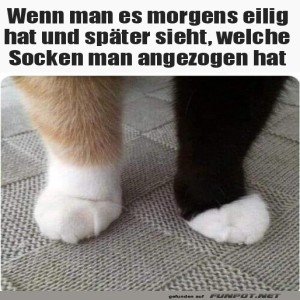 fun-Bild: Morgen-Verwirrung pur!