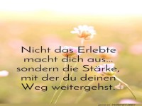Blumenweisheit: Stark wie ein L�wenzahn