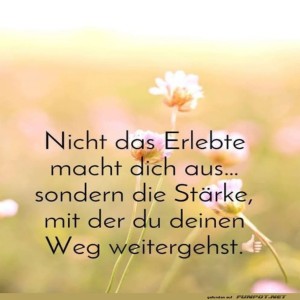 Blumenweisheit:-Stark-wie-ein-L�wenzahn.jpg von Leona