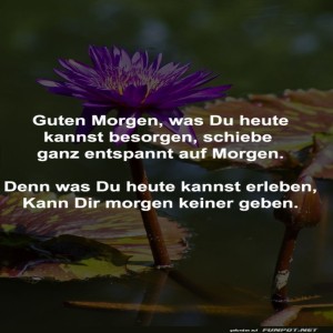 Morgens-noch-irgendwas-erledigen?-Lieber-chillen!.jpg von Josefin