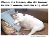 weiter