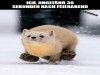 weiter
