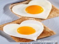 386153 506324222735096 613997012 n