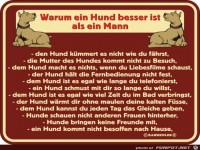 warum ein Hund besser ist als ein Mann 