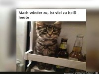 keine schlechte idee