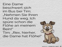 eine dame beschwert sich