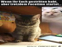 Trotz Streit Facetime-Anruf