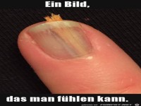 Ein Bild, das man f�hlen kann