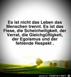 Es-ist-nicht-das-Leben.jpg auf www.funpot.net