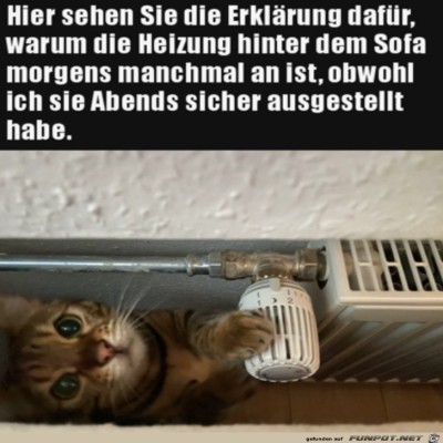 Wer-stellt-denn-die-Heizung-immer-an?.jpg von SWolle