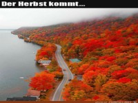 Toller Herbst