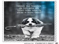 Freunde sind Menschen