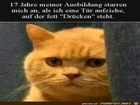 Zu blöd zum lesen